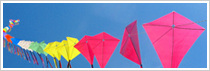 Kite Festival Tour
