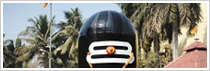 Mahashivratri Festival Tour