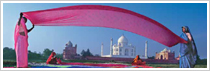 Rapid India Rapid India