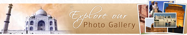 Explore Our Photo Gallery Explore Our Photo Gallery