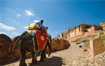 Indialex Tours