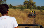 Indialex Tours