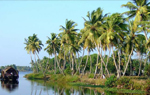 Indialex Tours