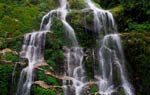 Indialex Tours