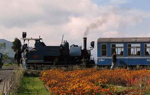Indialex Tours