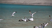 Indialex Tours
