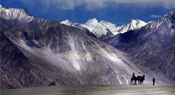 Indialex Tours