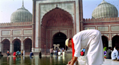 Indialex Tours