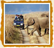 Corbett National Park Corbett National Park