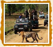 Bandhavgarh National Park Bandhavgarh National Park